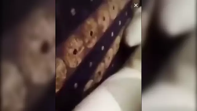 Любительский секс турчанки с горячим парнем